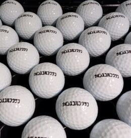 【レンジボール】茨城県 N練習場様 リペイント事例