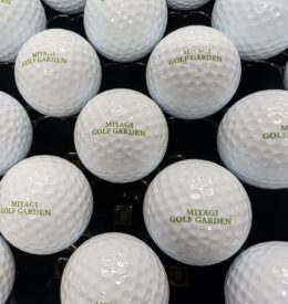 【レンジボール】宮城県　M練習場様　リペイント事例