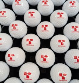 【レンジボール】大阪府　Ｈ練習場様　リペイント事例