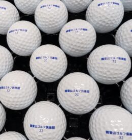 【レンジボール】群馬県　Ｋ練習場様　リペイント事例