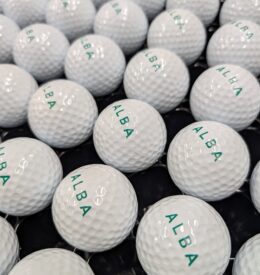 【レンジボール】京都府　Ａ練習場様　リペイント事例