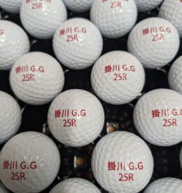 【レンジボール】静岡県 K練習場様 リペイント事例