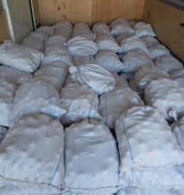 レンジボール（ブリヂストン：ツーピース）入荷いたしました！