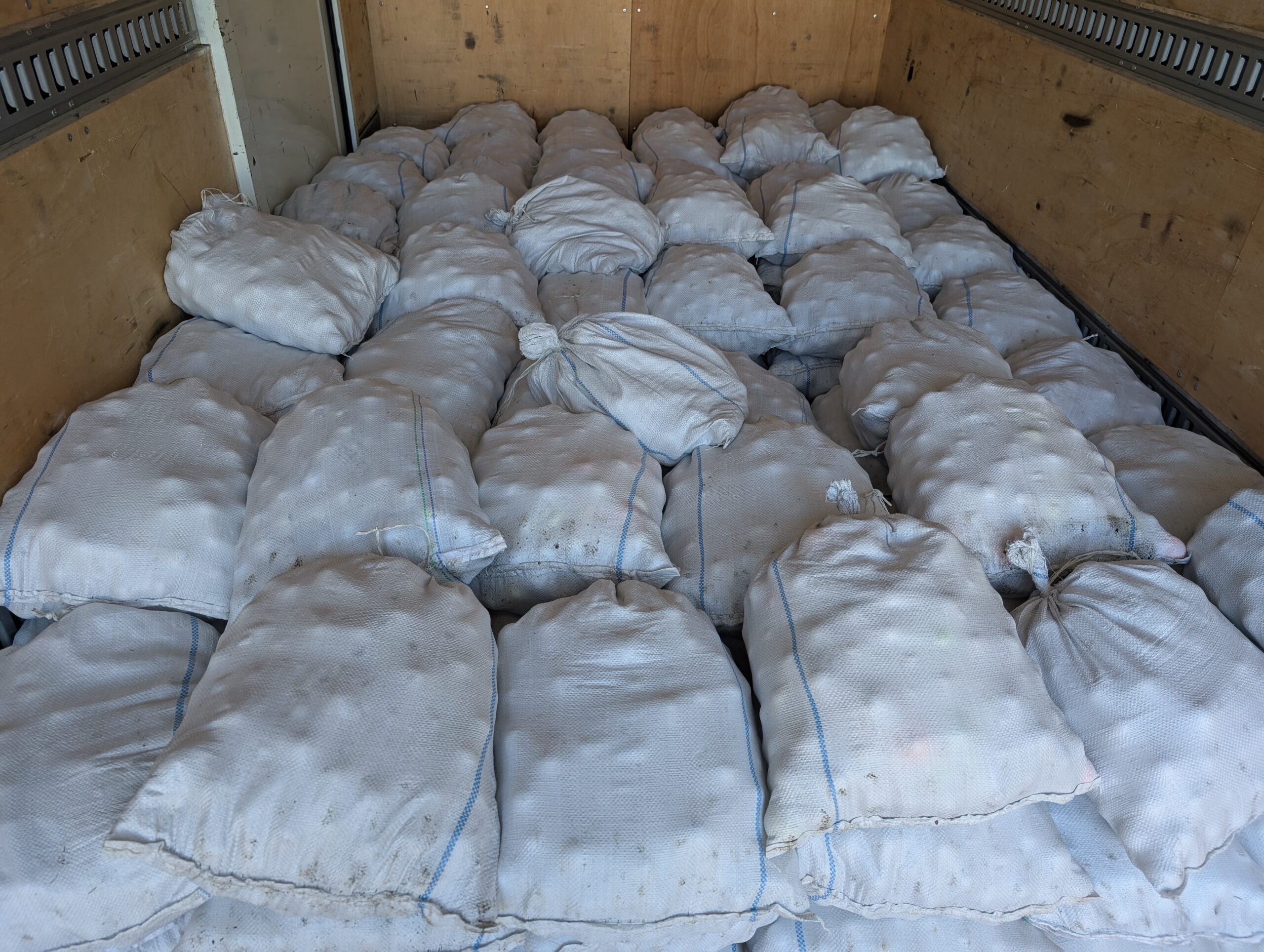 レンジボール（ブリヂストン：ツーピース）入荷いたしました！